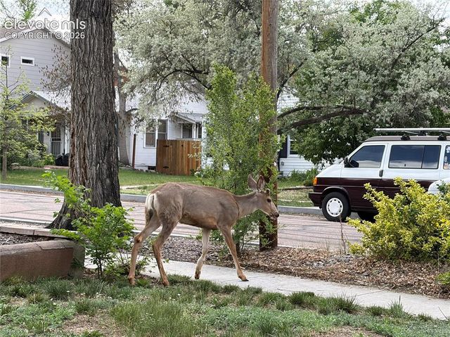 223 Custer Avenue, Colorado Springs, CO 80903