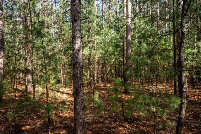 W6091 N Lake Drive, New Lisbon, WI 53950