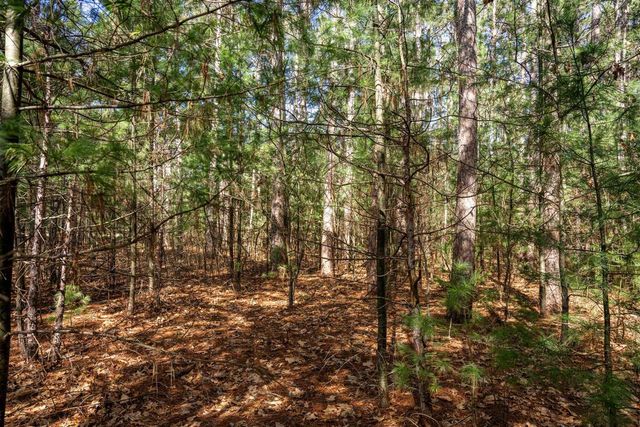 W6091 N Lake Drive, New Lisbon, WI 53950