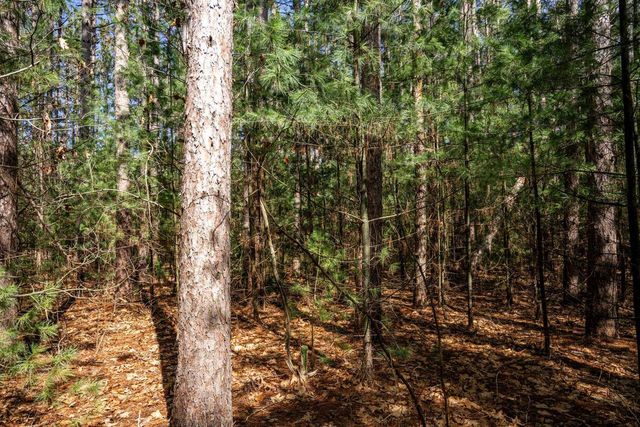 W6091 N Lake Drive, New Lisbon, WI 53950