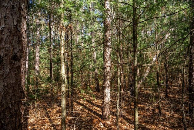 W6091 N Lake Drive, New Lisbon, WI 53950