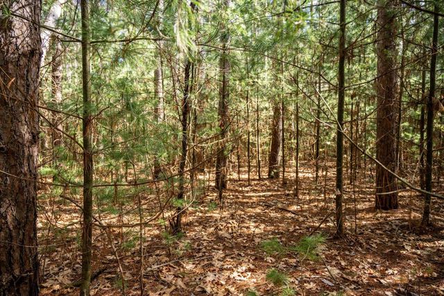 W6091 N Lake Drive, New Lisbon, WI 53950
