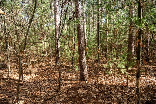 W6091 N Lake Drive, New Lisbon, WI 53950