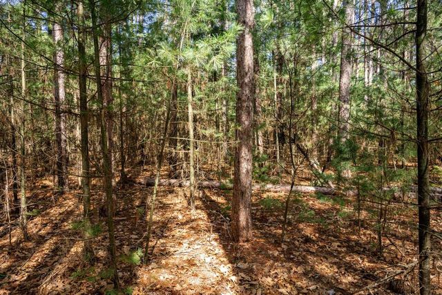 W6091 N Lake Drive, New Lisbon, WI 53950