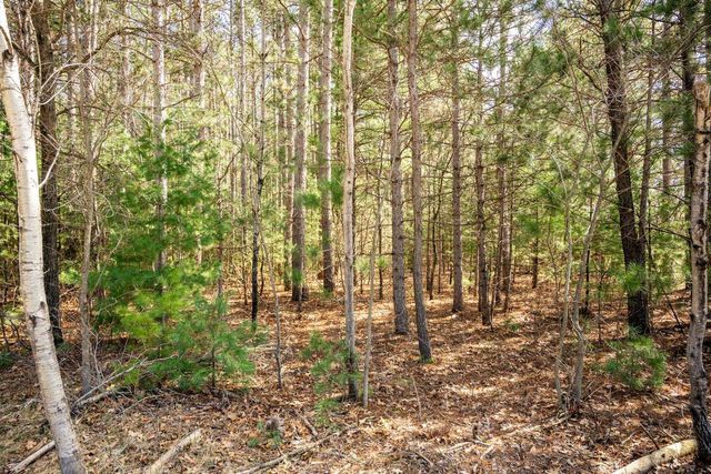 W6091 N Lake Drive, New Lisbon, WI 53950