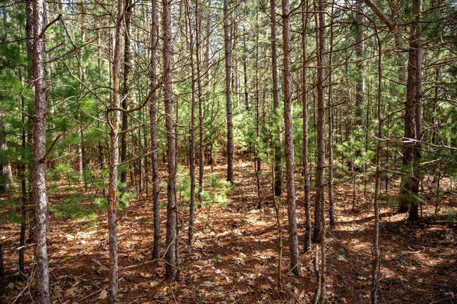 W6091 N Lake Drive, New Lisbon, WI 53950