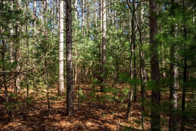W6091 N Lake Drive, New Lisbon, WI 53950