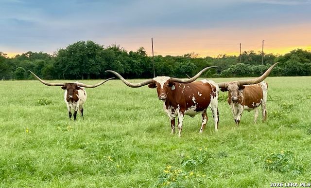 2444 PURGATORY RD, New Braunfels, TX 78132