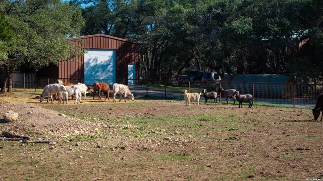 2444 PURGATORY RD, New Braunfels, TX 78132