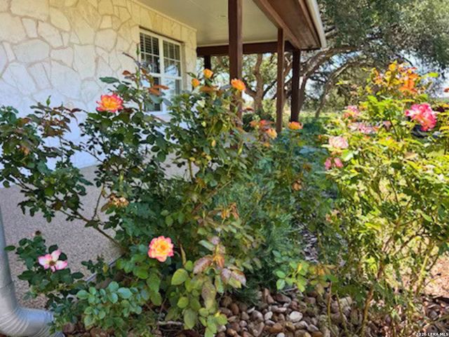 2444 PURGATORY RD, New Braunfels, TX 78132