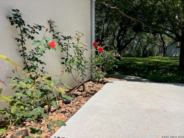 2444 PURGATORY RD, New Braunfels, TX 78132