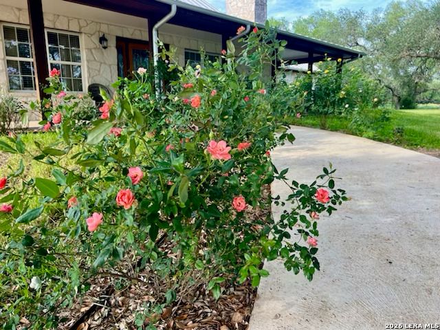 2444 PURGATORY RD, New Braunfels, TX 78132