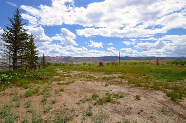 853 Raptor Road, Fruita, CO 81521