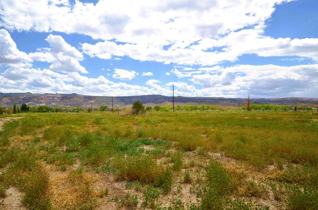 853 Raptor Road, Fruita, CO 81521