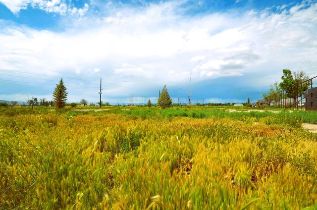 853 Raptor Road, Fruita, CO 81521