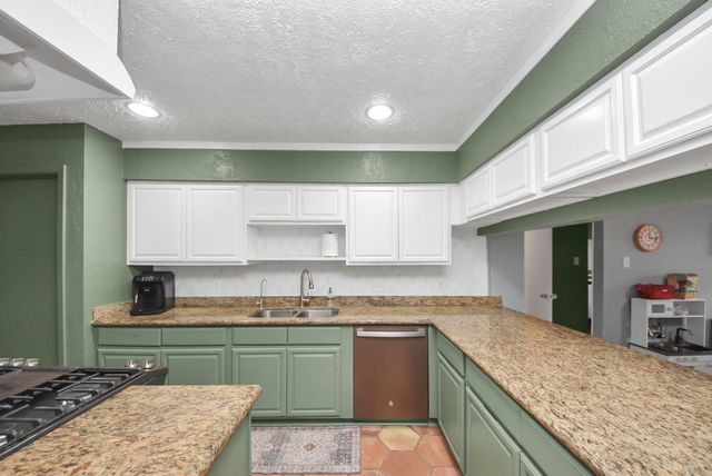 10007 Loch Dane Drive, Houston, TX 77070