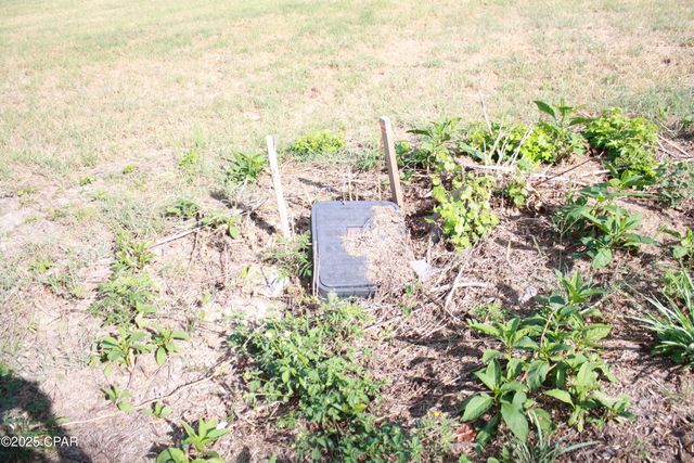 00000 Miltonia Avenue, Marianna, FL 32446