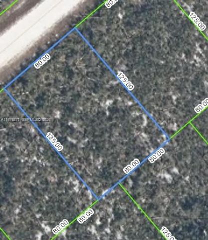 3154 Oregon Place, Lake Placid, FL 33852