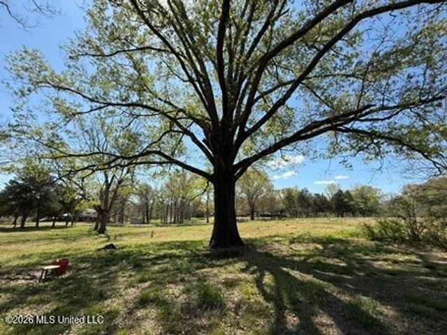 1332 Walker Road, Terry, MS 39170