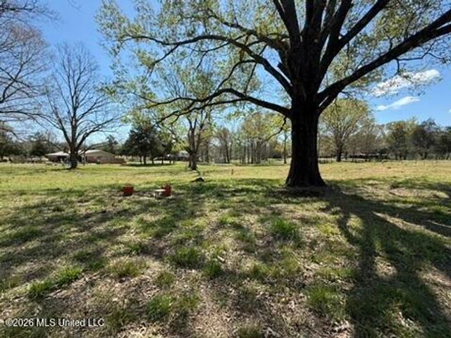 1332 Walker Road, Terry, MS 39170