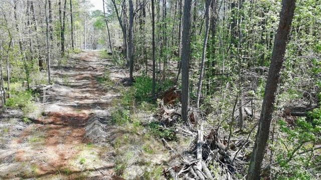 100 Chippewa Trail, Canton, GA 30114