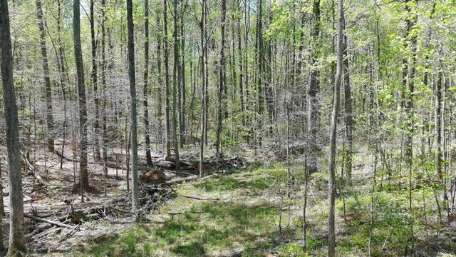 100 Chippewa Trail, Canton, GA 30114