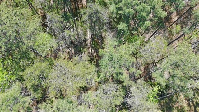 100 Chippewa Trail, Canton, GA 30114