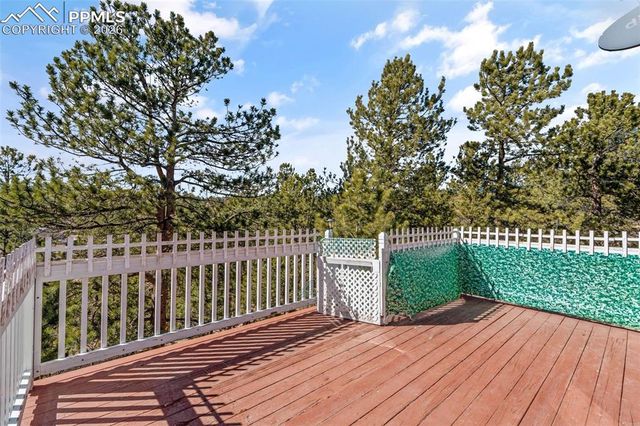 487 Maroon Lake Circle, Divide, CO 80814