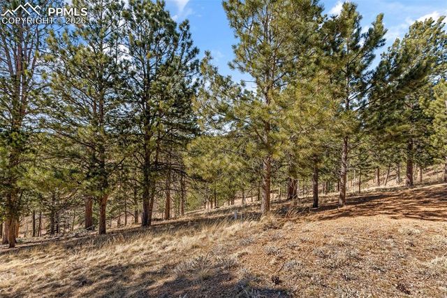 487 Maroon Lake Circle, Divide, CO 80814