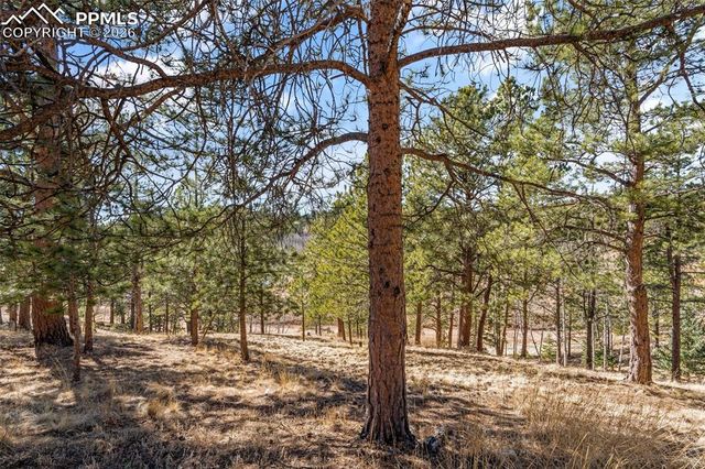 487 Maroon Lake Circle, Divide, CO 80814