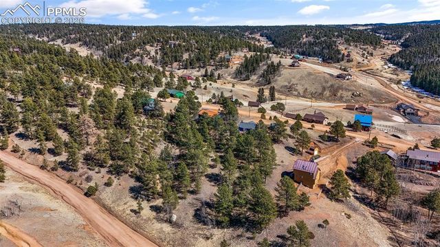 487 Maroon Lake Circle, Divide, CO 80814