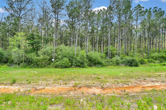 15469 Forest Grove Drive, Willis, TX 77378