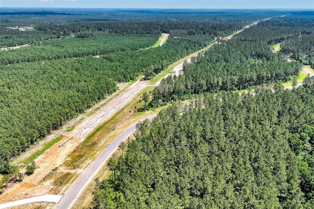 15469 Forest Grove Drive, Willis, TX 77378