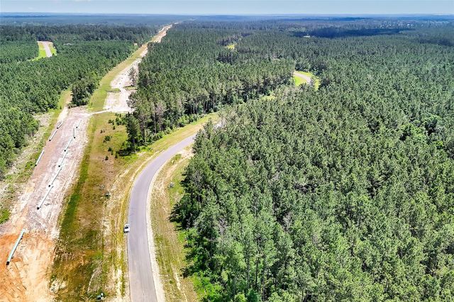 15469 Forest Grove Drive, Willis, TX 77378