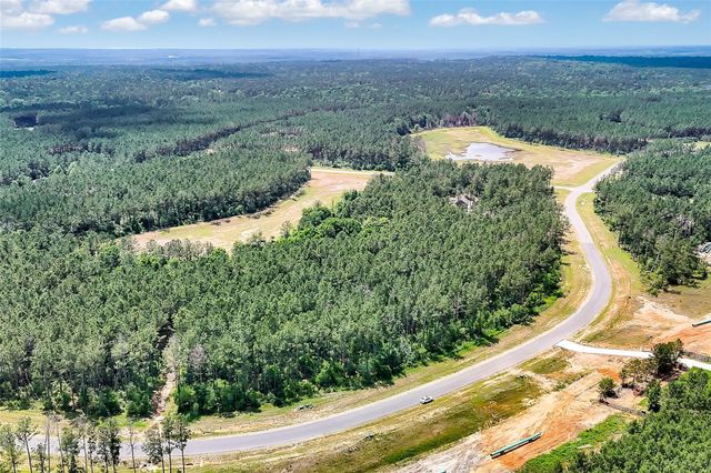 15469 Forest Grove Drive, Willis, TX 77378