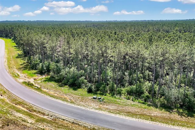 15469 Forest Grove Drive, Willis, TX 77378