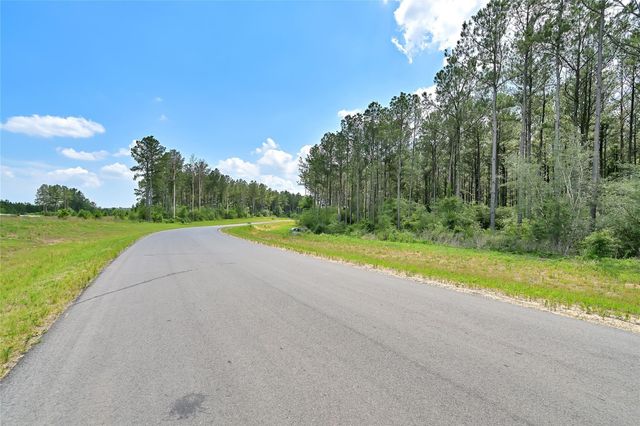 15469 Forest Grove Drive, Willis, TX 77378