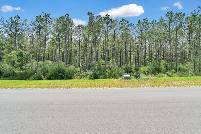 15469 Forest Grove Drive, Willis, TX 77378