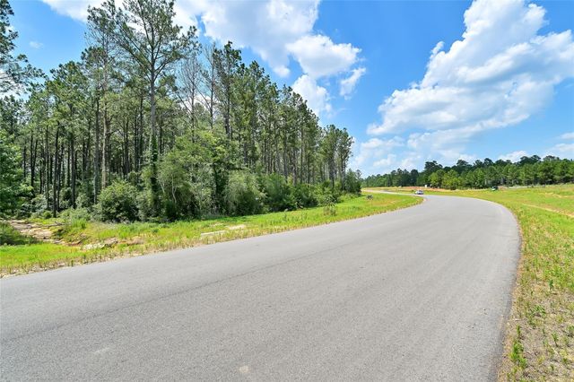 15469 Forest Grove Drive, Willis, TX 77378