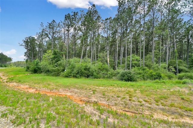 15469 Forest Grove Drive, Willis, TX 77378