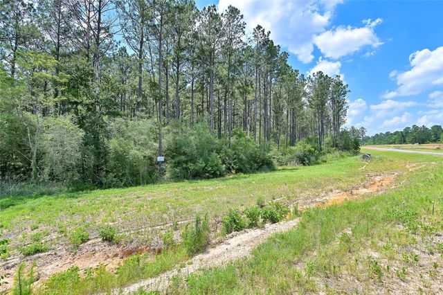 15469 Forest Grove Drive, Willis, TX 77378