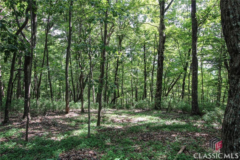 8088 Ridgeview Drive, Big Canoe, GA 30143
