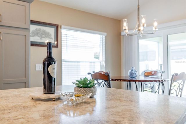 580 GOUGH PLACE, The Villages, FL 32163