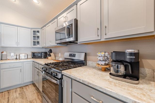 580 GOUGH PLACE, The Villages, FL 32163