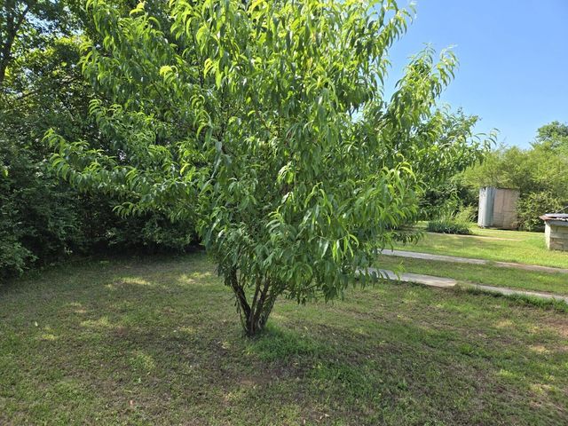 1667 Eden Hall Road, Bradley, SC 29819