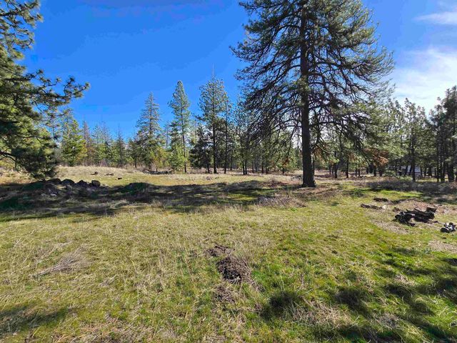 10602 N Dover Rd, Nine Mile Falls, WA 99026