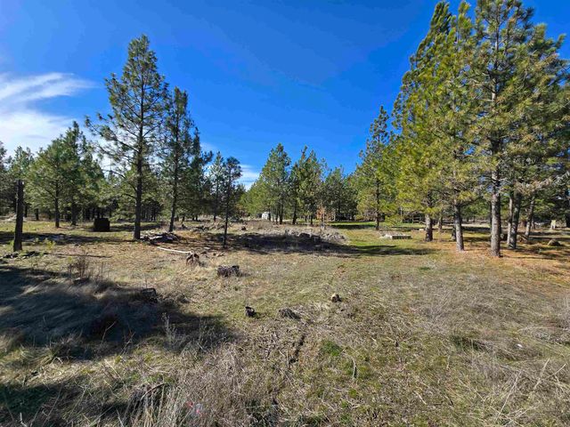 10602 N Dover Rd, Nine Mile Falls, WA 99026