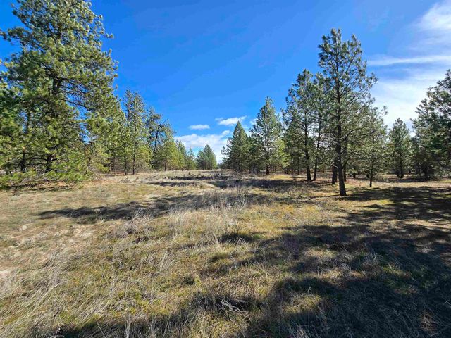 10602 N Dover Rd, Nine Mile Falls, WA 99026