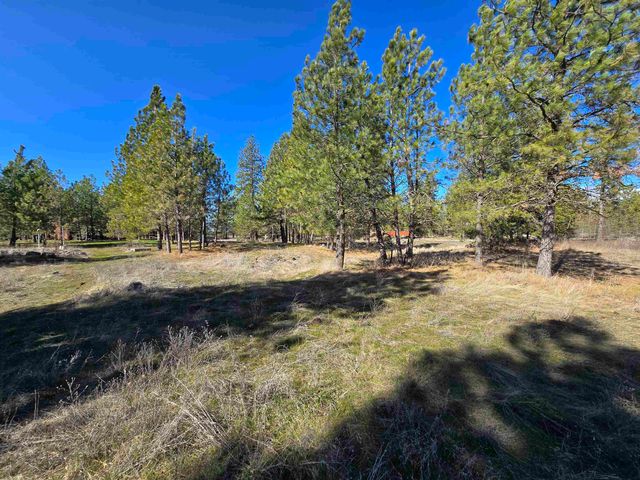 10602 N Dover Rd, Nine Mile Falls, WA 99026