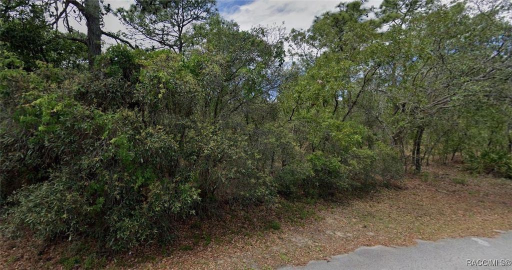 14 Eugenia Court W, Homosassa, FL 34446